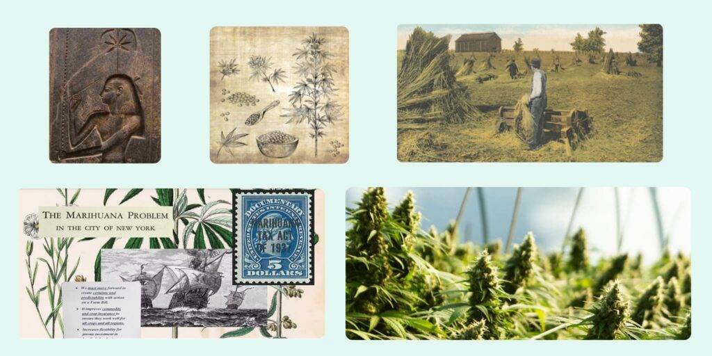 Kender történelme Kannabisz történelme
